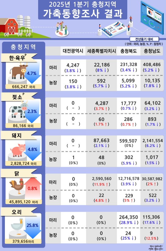 2025년 1분기 충청지역 가축동향조사 결과